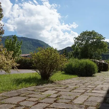 Pino Loricato Terranova di Pollino