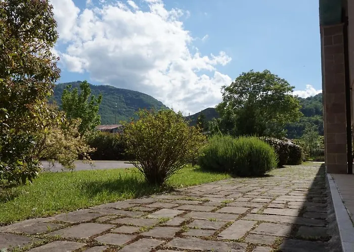 Pino Loricato Terranova di Pollino